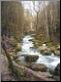 Rivière du Hérisson -Photo Michel Millet