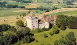 Château du Pin